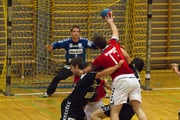 A1: SC Meran - Triest 2010/11